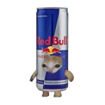 redbullcat
